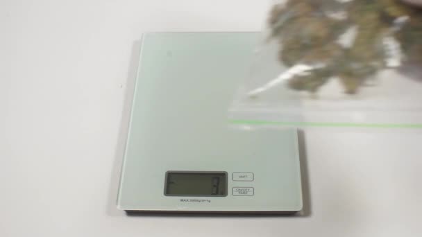 Electronic scale weighing cannabis bag — Stock Video