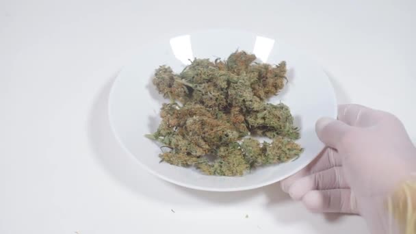 Syntetisk marijuana, cannabisersättning, krydda — Stockvideo