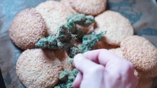 El doctor tiene cannabis en las manos de las galletas — Vídeos de Stock