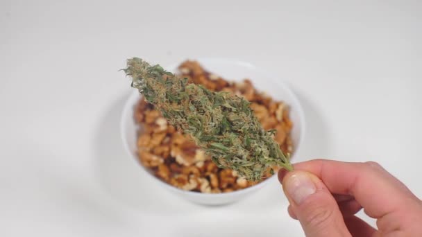 Grumeau de cannabis marijuana comestible, nourriture de cannabis — Video