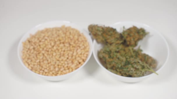 Scientist studies weed plant before cooking — Stock Video