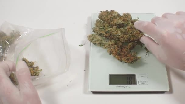 Menimbang ganja sebelum menyiapkan makanan sehat — Stok Video