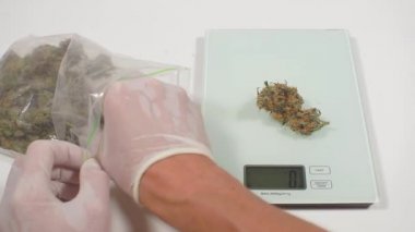 Marihuana kekleri yapmak, ürünleri tartmak.