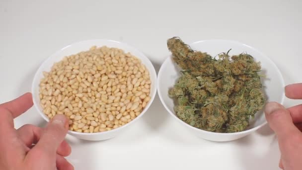 Cocinero demuestra comida y marihuana antes de cocinar — Vídeo de stock