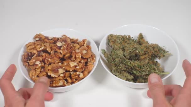 Painkillers for oncology, cannabis with food — Stock Video