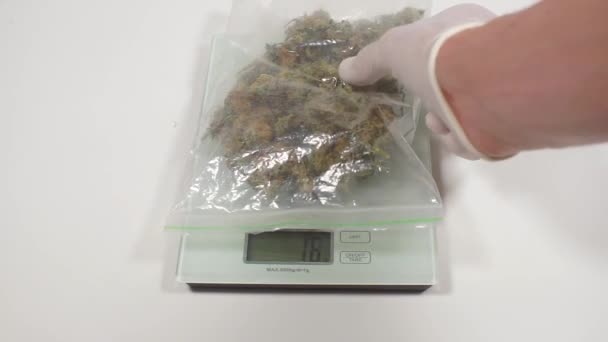 Cannabis in een plastic zak op elektronische schaal — Stockvideo