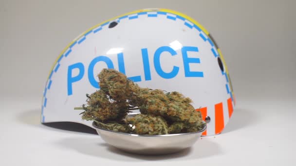 Zusammenarbeit zwischen Polizei und Arzt, medizinisches Marihuana — Stockvideo