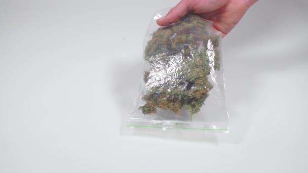 Doctor demonstrates medical cannabis in a plastic bag — Stock Video