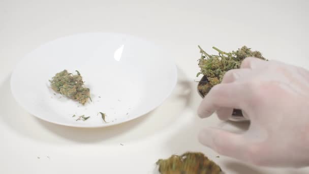 Sale of weed worth a plate — Stock Video