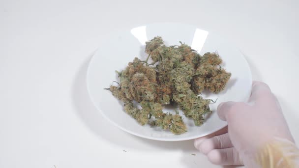 Cannabis en un plato blanco sobre un fondo blanco — Vídeo de stock