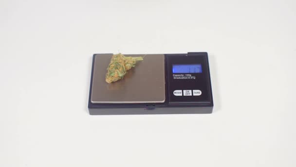 Sale of marijuana flowers, weighed on the scales — Stock Video