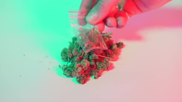 Marihuana medyczna, wydawanie pojedynczej dawki — Wideo stockowe