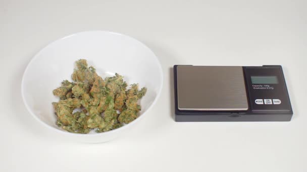 Einbeziehung von Cannabis-Waagen aus nächster Nähe — Stockvideo