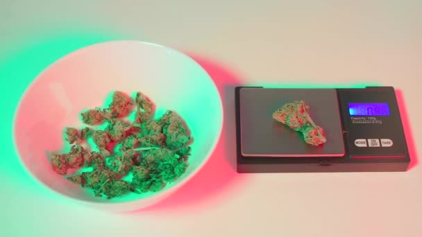 Наркодилер продає канабіс, зважуючи квіти марихуани — стокове відео