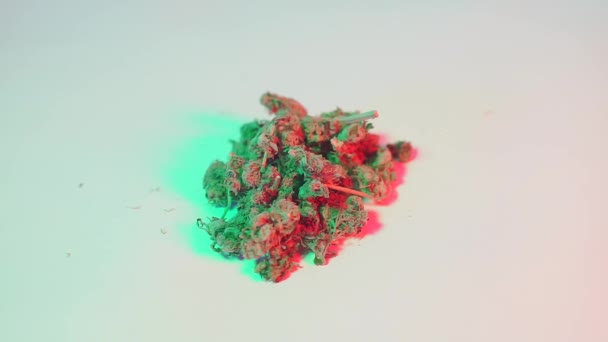 Verkoop van marihuana, de bovenkant is verpakt goederen — Stockvideo