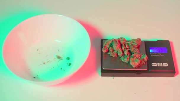 Glina nalewa marihuanę przed ważeniem — Wideo stockowe
