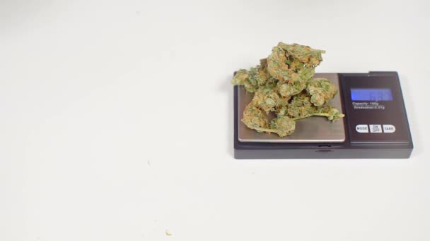 Vente de fleurs de marijuana, pesage — Video