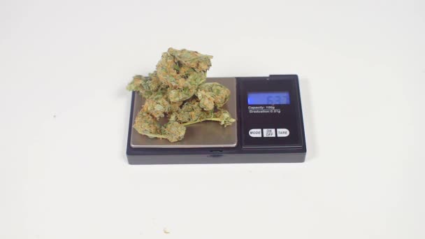 Gewichtsbeheersing van marihuana op weegschalen — Stockvideo