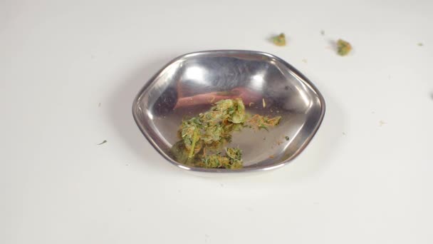 Cannabis cae en el plato — Vídeos de Stock