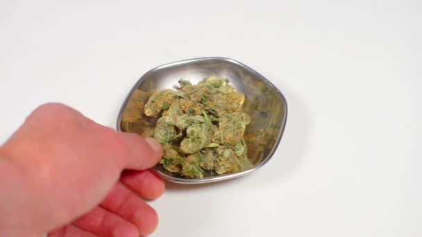 Cannabis in een metalen plaat op een witte achtergrond — Stockvideo