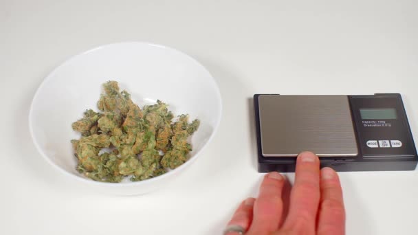 Bilance elettroniche accanto alla cannabis — Video Stock