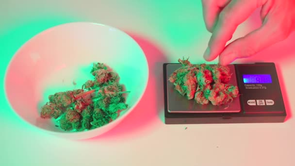 Measuring the dose of marijuana scales before use — Stock Video