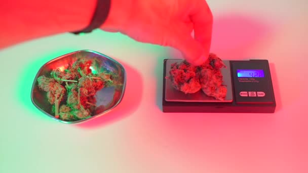 Взвешивание марихуаны на весах вблизи — стоковое видео