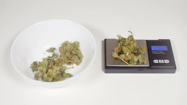 Weight control of marijuana on electronic scales — Stock Video