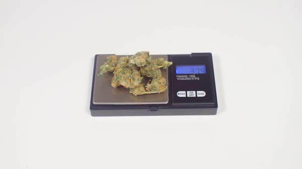 Sale and control weighing of medical marijuana on scales — Stock Video