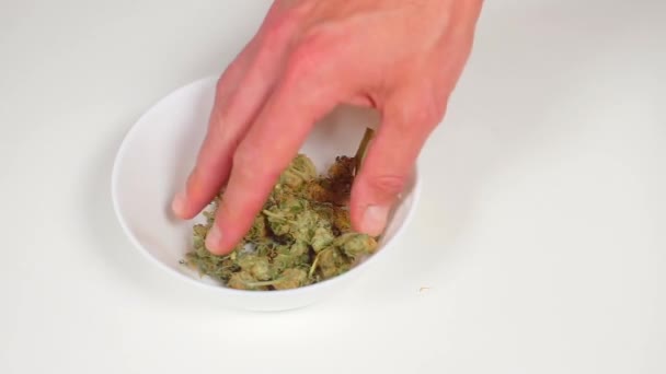 Los brotes de cannabis ponen sus manos en el plato — Vídeo de stock