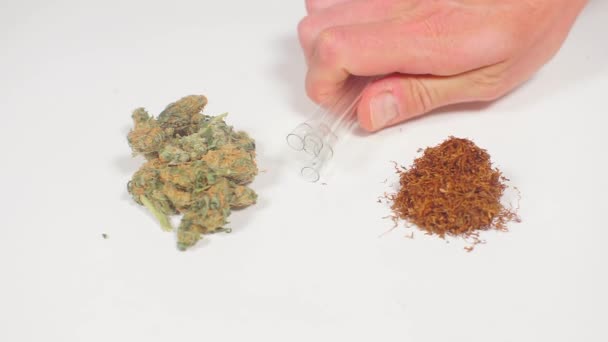 Marijuana and tobacco, put glass tubes — Stock Video