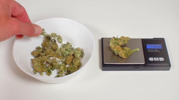Controllo della pesatura della cannabis prima della consegna al paziente — Video Stock