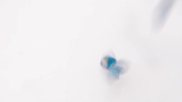 Versare perline di metallo blu in una piastra bianca . — Video Stock
