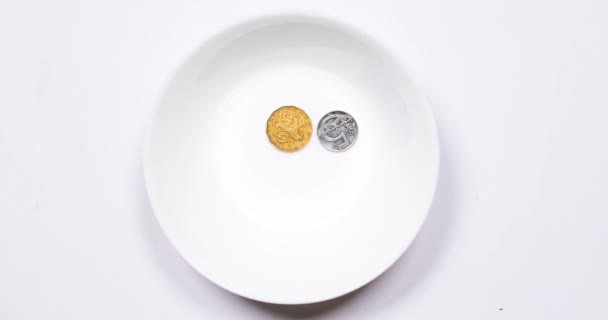 Coins and a banknote appeared in a plate. — Stock Video