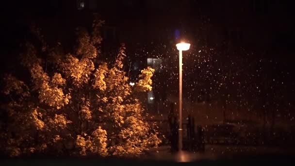 Árvore de outono fica sob a neve à noite . — Vídeo de Stock