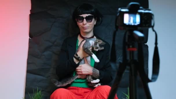 Chica blogger con un gato en sus brazos escribe una reseña sobre gatos domésticos — Vídeos de Stock
