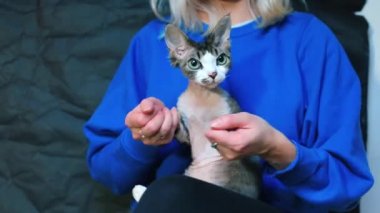 Kedi bir kızın kollarında dans ediyor..