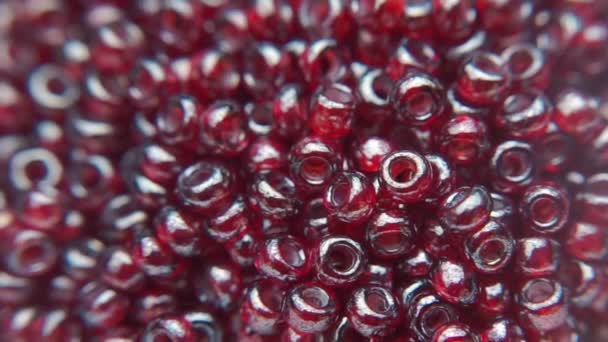 Verser des perles rouge foncé dans une assiette blanche . — Video