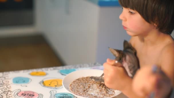 El niño se sienta en una mesa con un gato en sus brazos y almorza. . — Vídeo de stock