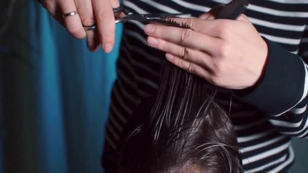 Closeup of hairdresser hands with comb and scissors. — Stock Video