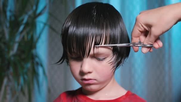 Rapaz perturbado num corte de cabelo. O cabeleireiro penteia o cabelo com um pente . — Vídeo de Stock