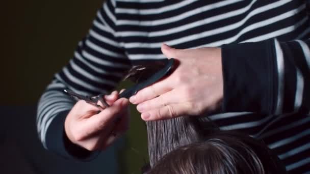 Parrucchiere taglia i capelli bagnati sulla testa con le forbici . — Video Stock