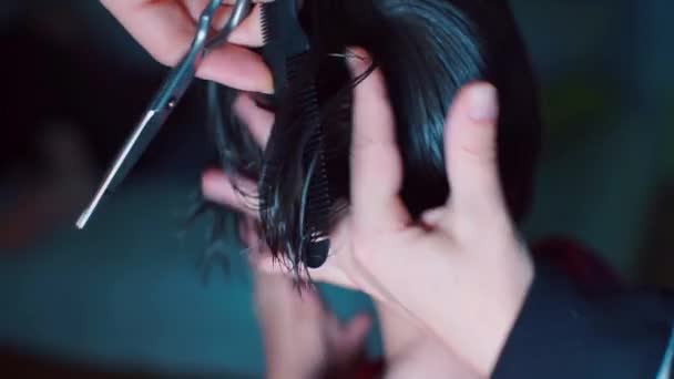 The hairdresser shows how to trim the hair on the head. — Stock Video