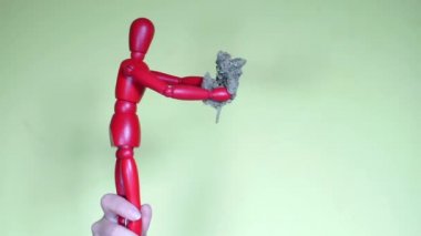 Kızıl bir adam elinde tıbbi marihuana tomurcuğu tutuyor.