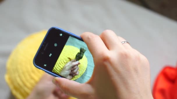 Экран смартфона, на котором сделана фотография бутона марихуаны — стоковое видео