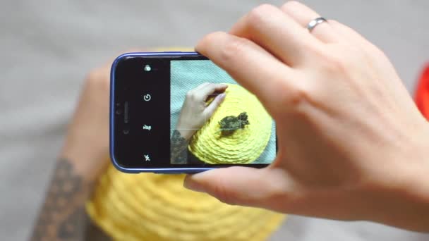 Блогер делает фотографии конопли на смартфоне — стоковое видео