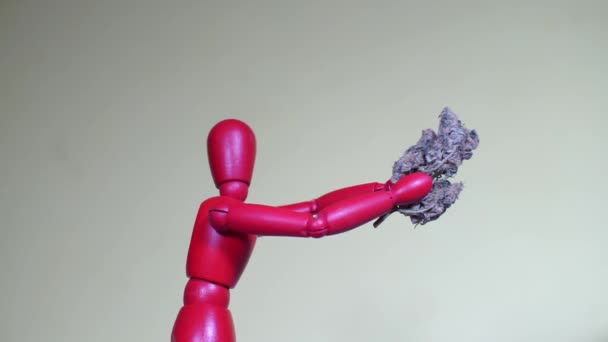 Rode man figuur houdt cannabis knop — Stockvideo