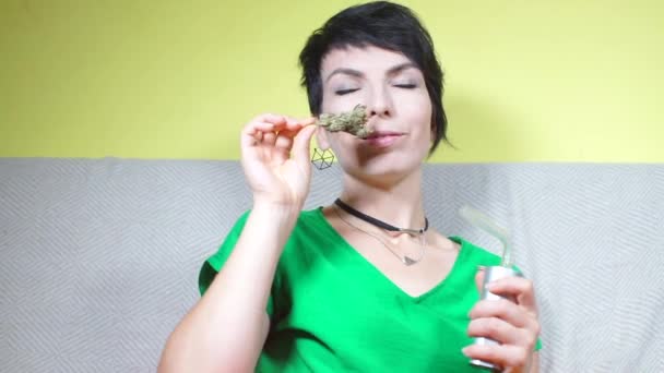 Meisje snuift en analyseert een nieuwe variëteit van cannabis — Stockvideo