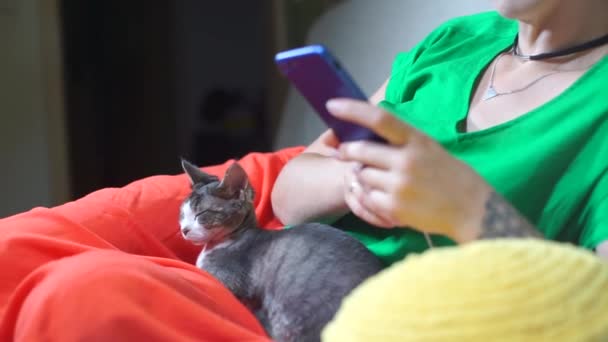 Una chica con un gato de rodillas está esperando una recepción en el veterinario — Vídeos de Stock