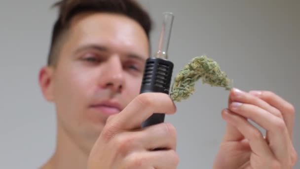 Een bult marihuana en vaporizer met hasj in de handen van het melodieuze — Stockvideo